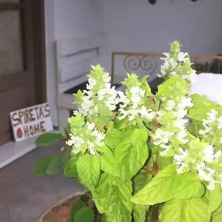 Spiretas Holiday home Naxos City