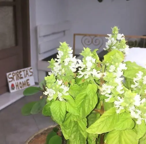 Spiretas Дом отдыха Naxos City